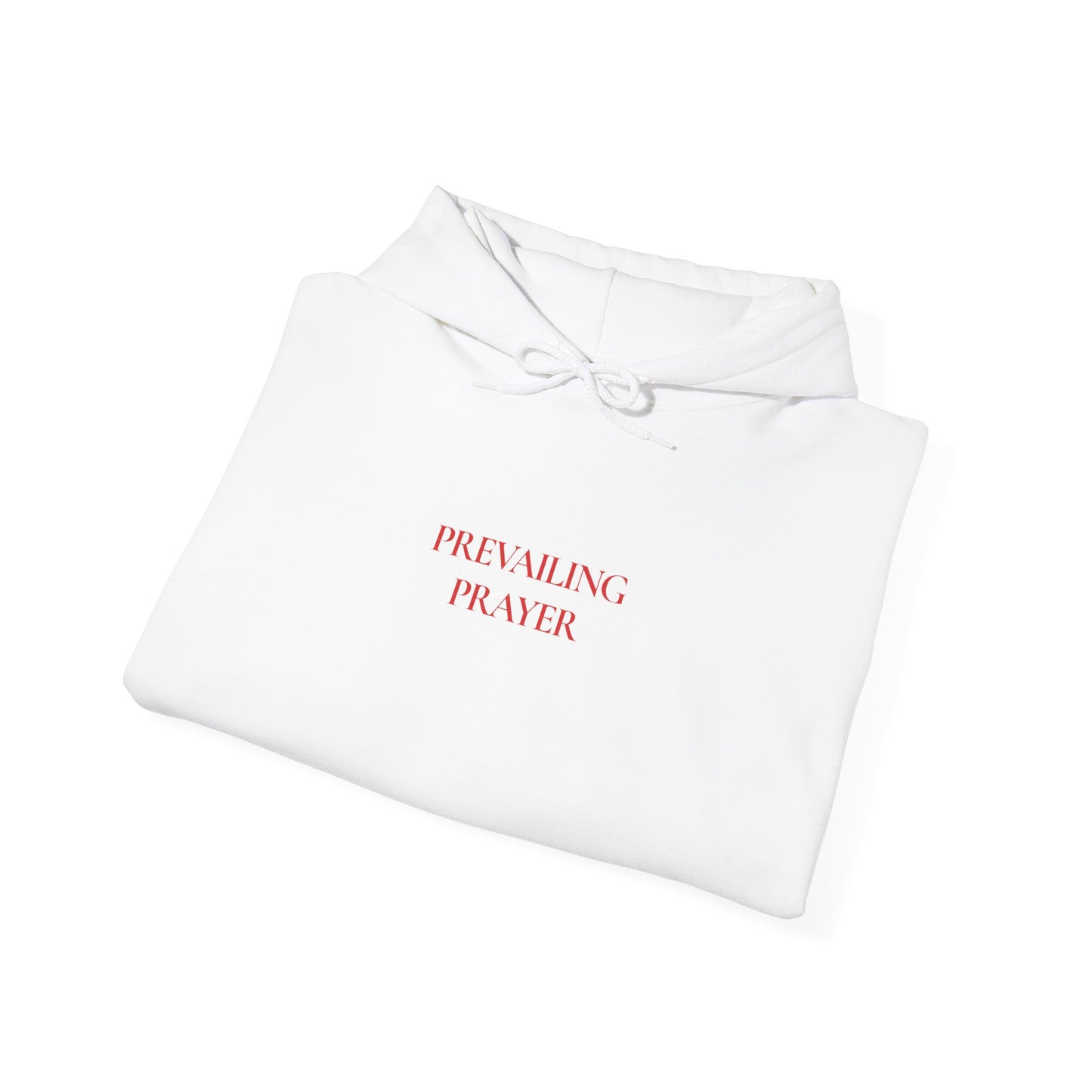 A Man Who Prays Is A Man Who Prevails" Unisex Graphic Hoodie | Christian Faith Sweatshirt for Men